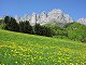 Spring in the Vercors